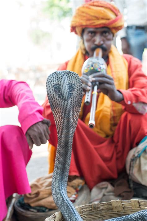 The Snake Charmer Bwin